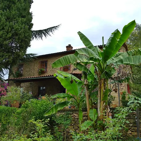 Apartment La Casa Delle Rose *