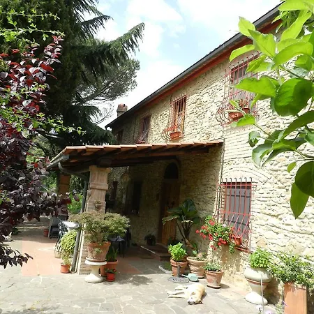 La Casa Delle Rose *