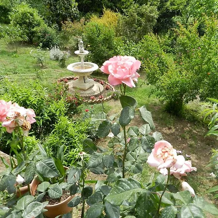 Lejlighed La Casa Delle Rose Montescudaio