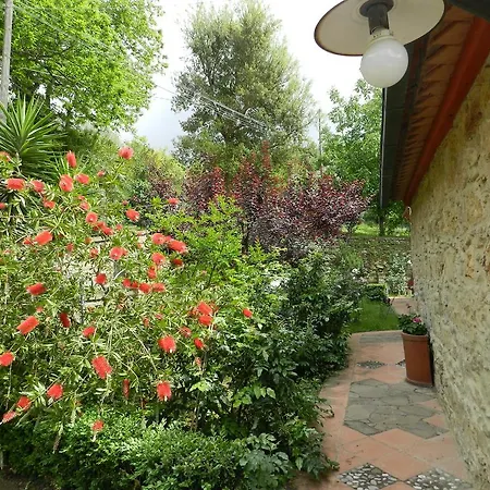 La Casa Delle Rose Apartment Montescudaio