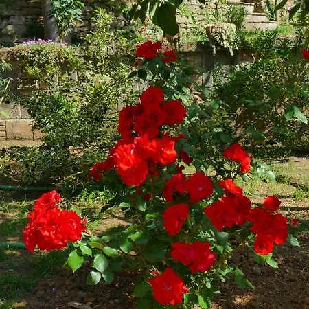 La Casa Delle Rose * Montescudaio