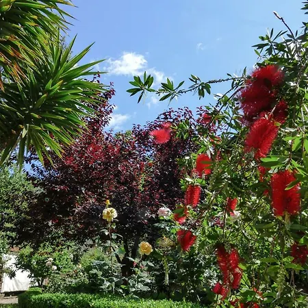 La Casa Delle Rose Apartment