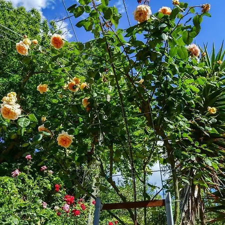 Apartment La Casa Delle Rose