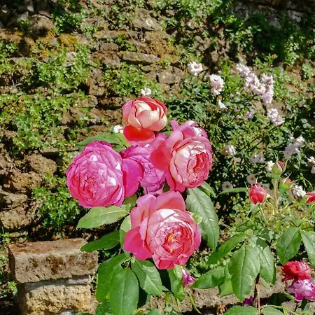 La Casa Delle Rose