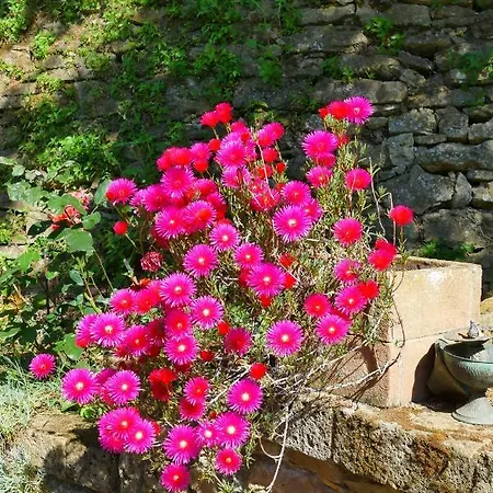 La Casa Delle Rose Apartment *